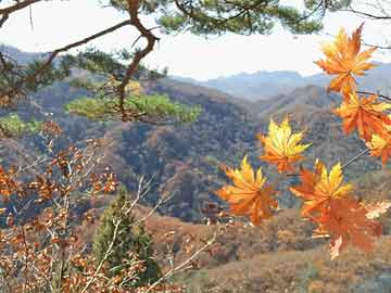 米菲打胎药在线购买打胎没掉干净吃什么药（打胎没掉干净,吃什么药）